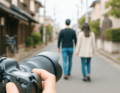 調査を行っている様子の写真